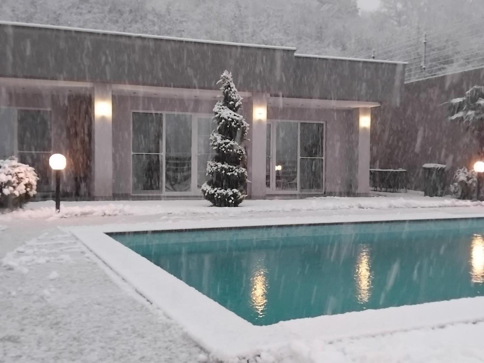Villa Dimo Topal Ohrid Exteriör bild