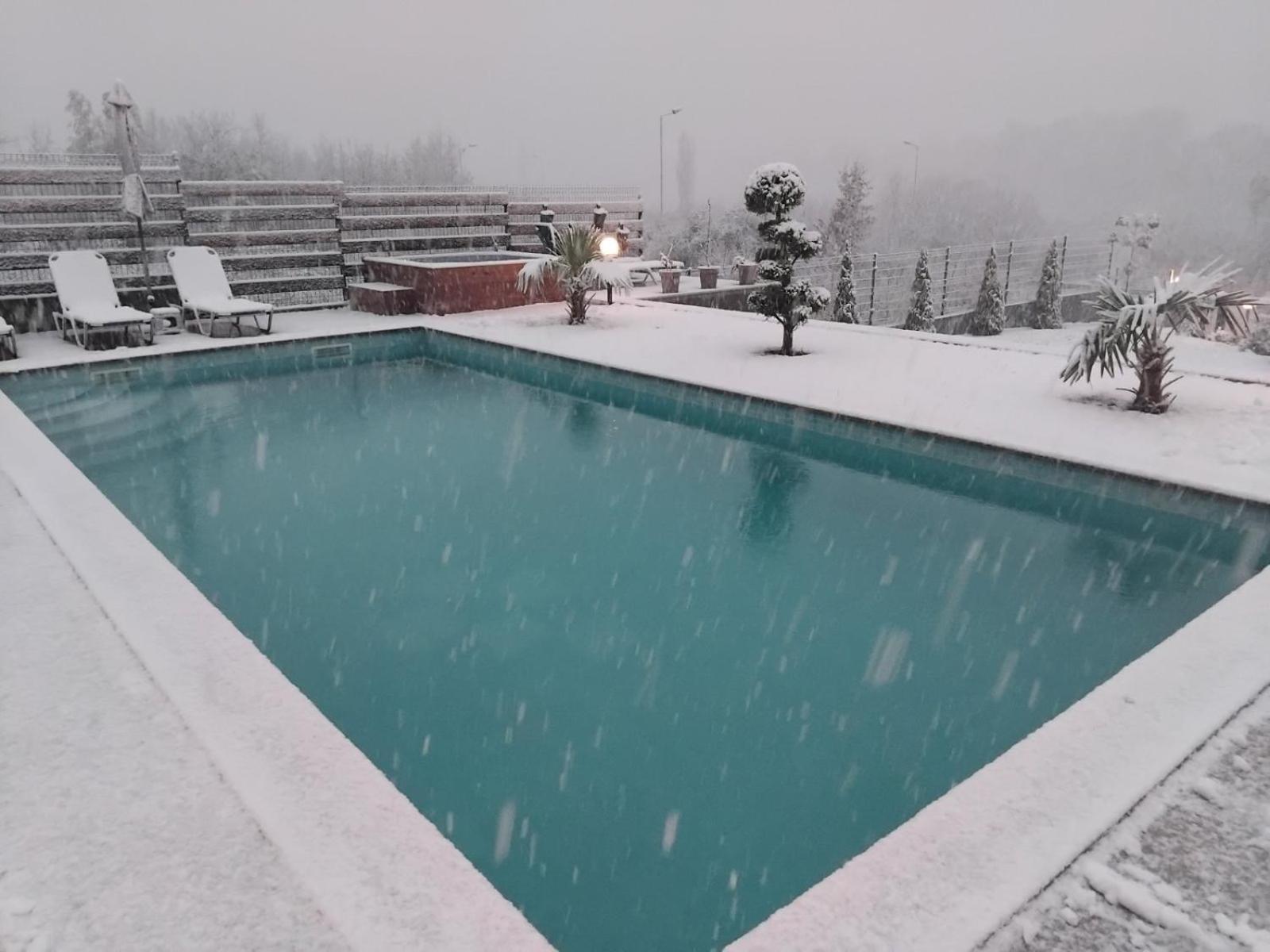 Villa Dimo Topal Ohrid Exteriör bild